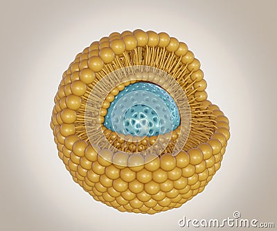 mesoporous silica nanoparticle inside of lipid bilayer Stock Photo