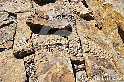 Mesosaurus stone reliefs at Spitzkoppe Farm near Keetmanshoop Stock Photo