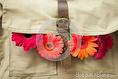 messenger bag with colorful gerberas seen through flap Stock Photo