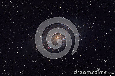Messier 33 Triangulum galaxy in the constellation Triangulum Stock Photo