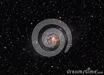 Messier 33 Triangulum Galaxy Stock Photo