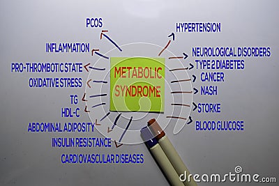 Metabolic Syndrome Method text with keywords isolated on white board background. Chart or mechanism concept Stock Photo