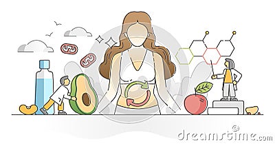 Metabolism chemical reaction as food conversion to energy outline concept Vector Illustration