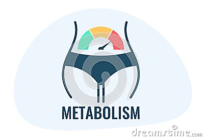 Metabolism vector icon Vector Illustration