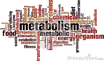 Metabolism word cloud Vector Illustration
