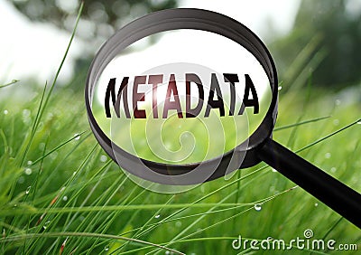 Metadata Stock Photo