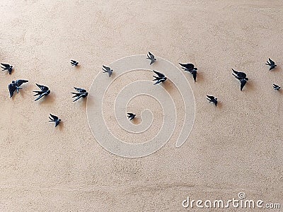Metal birds on brown plastered wall texture Stock Photo