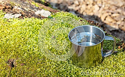 Metal cup of water on a log in the forest Stock Photo