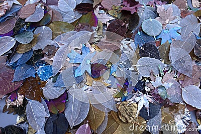 Metal Dipped Leaf Charms for Sale at Craftsmanâ€™s Stall Stock Photo