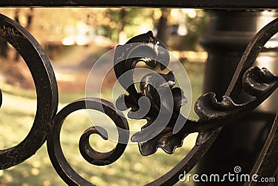 Metal fence with beautiful forged curls and shapes close-up. Behind the fence is a park, a lamppost, a bridge Stock Photo