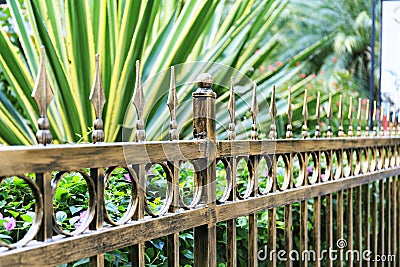 Metal iron fence Stock Photo