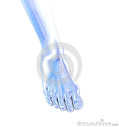 Metal foot Cartoon Illustration