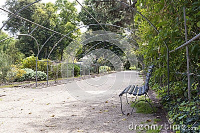 Metal Framed Arbor, Adelaide Botanic Garden Stock Photo