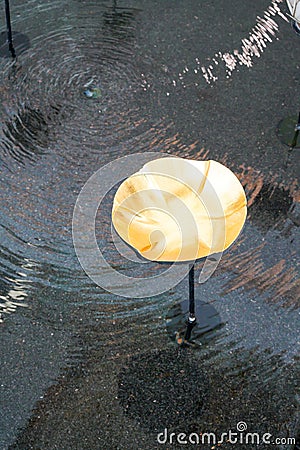 Metal gold Lotus Stock Photo