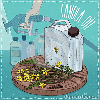 Canola oil used for fuel production Vector Illustration