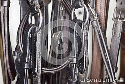 Metal martingale rings with attached belts on the background of different leather harness Stock Photo