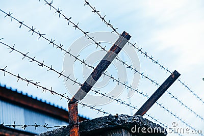 Metal orange pins that are strung with barbed wire Stock Photo
