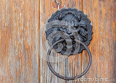 Metal round ring latch decoration handle fitted on wooden gate. Metal door lion head shaped knob ring close up Stock Photo