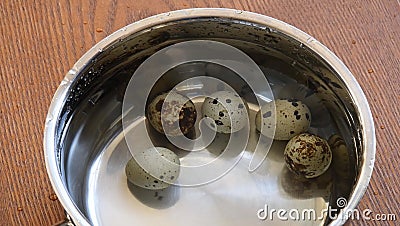 Stainless steel sauce pot full of clear water with five raw quail eggs ready to cook boiling Stock Photo