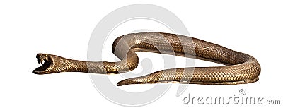 Metal snake Stock Photo