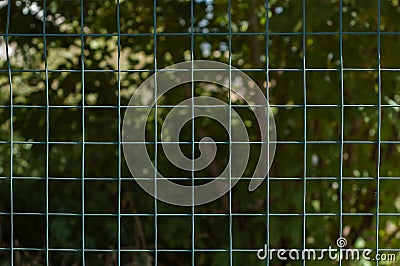 Metal square grid Stock Photo