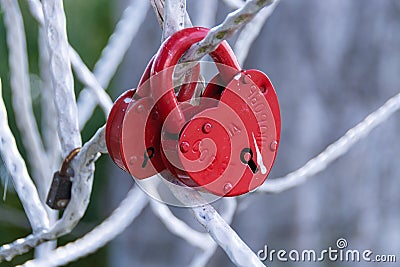 Metal `Tree of Happiness `with` locks of fidelity` for wedding ceremonies in the park `Love and Fidelity`. Historically restored p Editorial Stock Photo