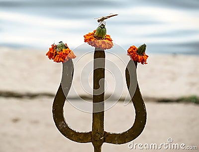 The metal trident of Shiva with pinned on the ends of flowers of tagetes and sitting on top of a dragonfly. India. Stock Photo