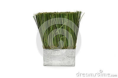 Metal vase with artificial grass Stock Photo