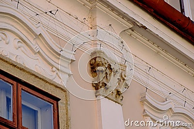 metal wire anti-roosting, bird prevention and repellent device over vintage wood windows. Stock Photo