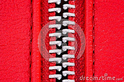 Metal zipper on intense red leather jacket or purse detail close up macro. The zipper is open between layers background. Stock Photo