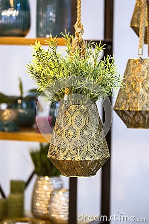 Metallic bronze hanging flower pot with decorative flower. Hanging beautiful flower pot with green plant Stock Photo