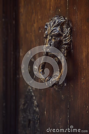 Metallic lion door knocker on old wooden door Stock Photo