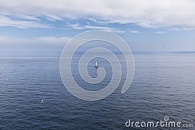 Metaphor for solitude, loneliness and purity: white yacht with white sail, silver gull in flight over Bay of Biscay Stock Photo