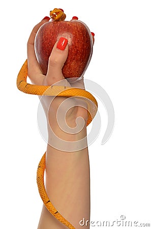 Metaphor of the symbolism of Adam and Eve 0019 Stock Photo