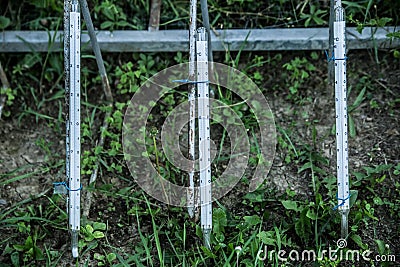 Meteorological Instruments, Thermometers for measuring the temperature Stock Photo