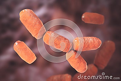 Methanobrevibacter smithii microorganisms, 3D illustration, the predominant archaeon in the microbiota of the human Cartoon Illustration