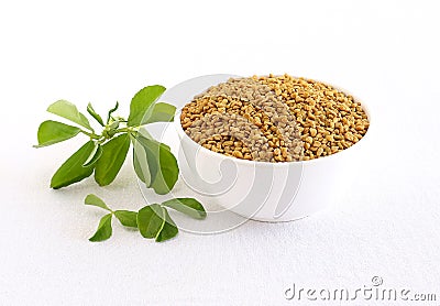 Methi or Fenugreek Seeds and Leaves Stock Photo