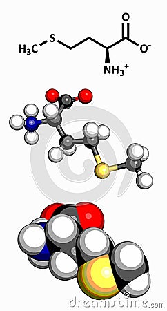 Methionine Met, M amino acid molecule. Stock Photo