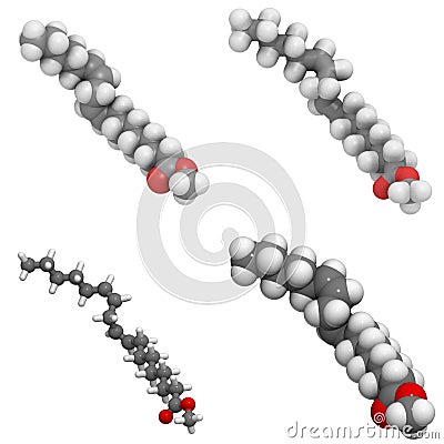 Methyl lineolate (biodiesel) molecule Stock Photo