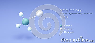 methylmercury molecule, molecular structures, methyl mercury, 3d model, Structural Chemical Formula and Atoms with Color Coding Stock Photo