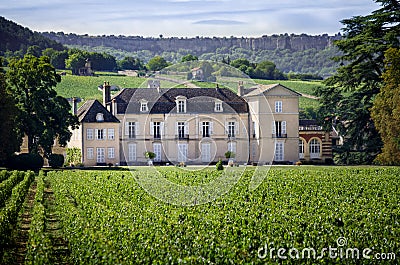 Borgogna, Montrachet. Chateau de Meursault. Cote d`Or. France Stock Photo