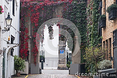 A mews archway in London with leaves reddening in the fall Stock Photo