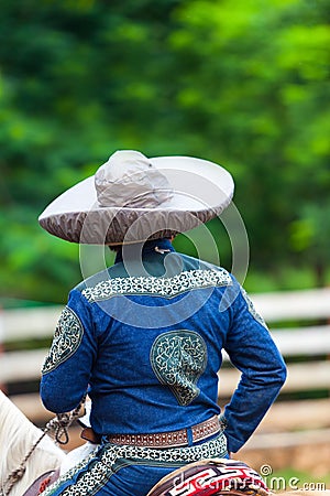 Mexican Charro Horseman Stock Photo