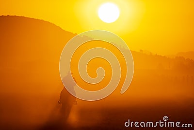 A Mexican Charro Cowboy Rounds Up A Herd of Horses Running Through The Field On A Mexican Ranch At Sunrise Stock Photo