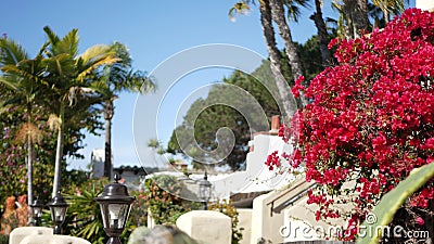 Mexican colonial style suburban, hispanic house exterior, green lush garden, San Diego, California USA. Mediterranean terracotta Stock Photo