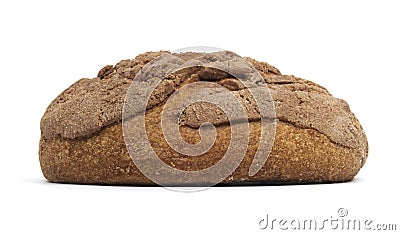 Mexican Concha Bread Stock Photo