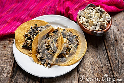 Mexican corn smut taco called Huitlacoche Stock Photo