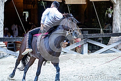 Mexican equestrian with a magnificent exhibition of the running lasso changing position on an Aztec horse of great lineage. Editorial Stock Photo