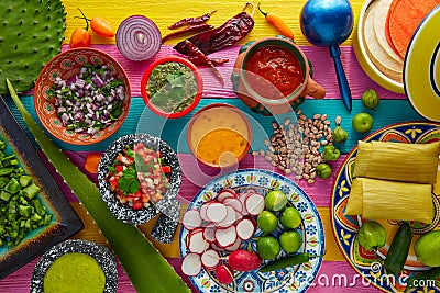 Mexican food mix with sauces nopal and tamale Stock Photo