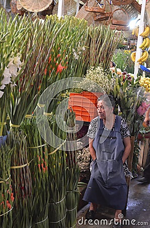 Mexican market, Cholula, woman with flowers to sale Editorial Stock Photo